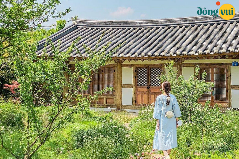 Thời tiết tháng 7 ở Hàn Quốc mát mẻ, dễ chịu nên bạn có thể mang quần áo cộc, váy, thêm một vài chiếc áo khoác mỏng