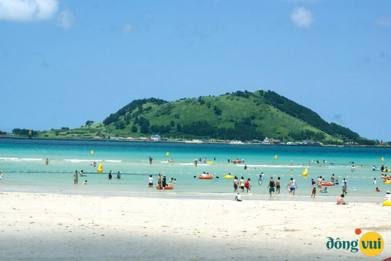 Bãi biển Daecheon sôi động và náo nhiệt khi mùa hè đến