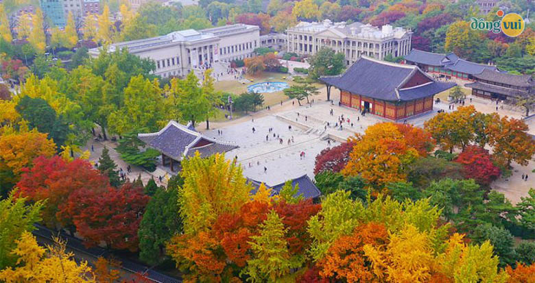 Điện Deoksugung rực sắc màu vào thu