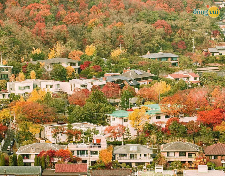 Bức tranh thu vàng ở thủ đô Seoul xinh đẹp