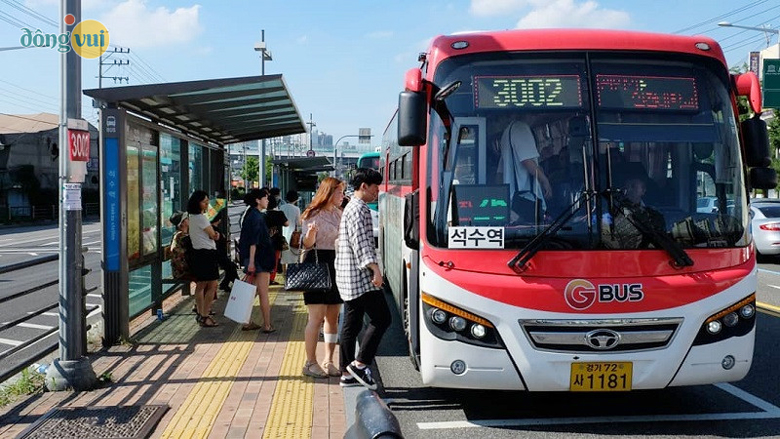 Du khách có thể lựa chọn đi xe buýt là phương tiện di chuyển tại Hàn Quốc