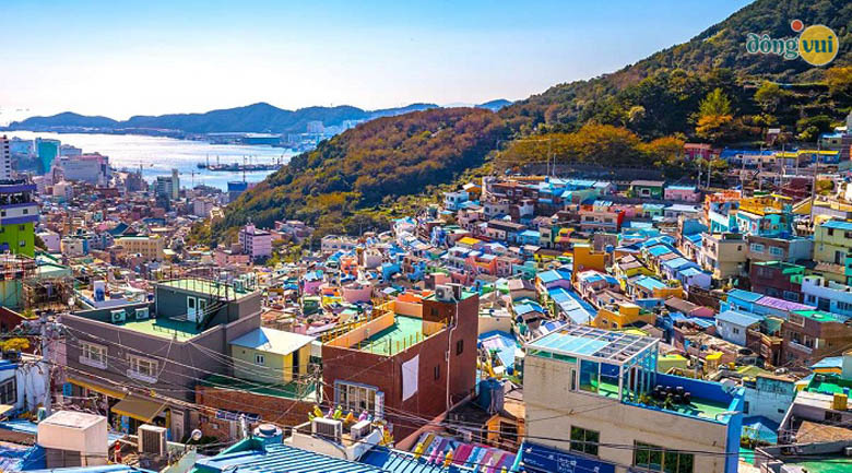 Làng văn hóa Gamcheon sau khi được các nghệ sĩ và sinh viên trường nghệ thuật cải tiến thành bức tranh nghệ thuật độc đáo