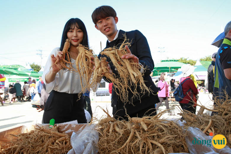 Yeongju Punggi Insam Festival (12 – 20/10)