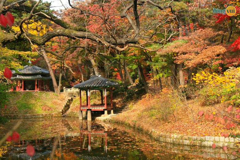 Cung điện Changdeokgung vào mùa thu thay màu