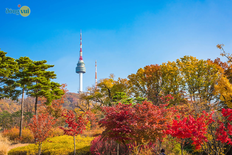 Cảnh sắc thiên nhiên rực rỡ đỏ vàng của núi Namsan vào mùa thu