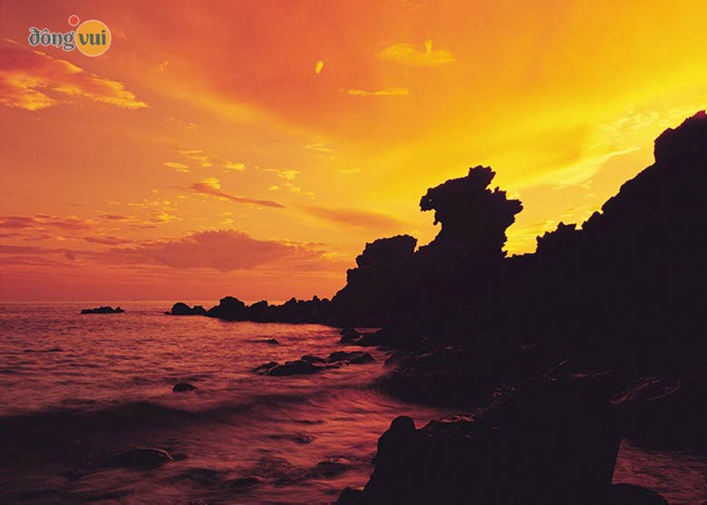 Hình ảnh rặng đầu rồng Yongduam Rock dưới bóng chiều lãng mạn, đẹp