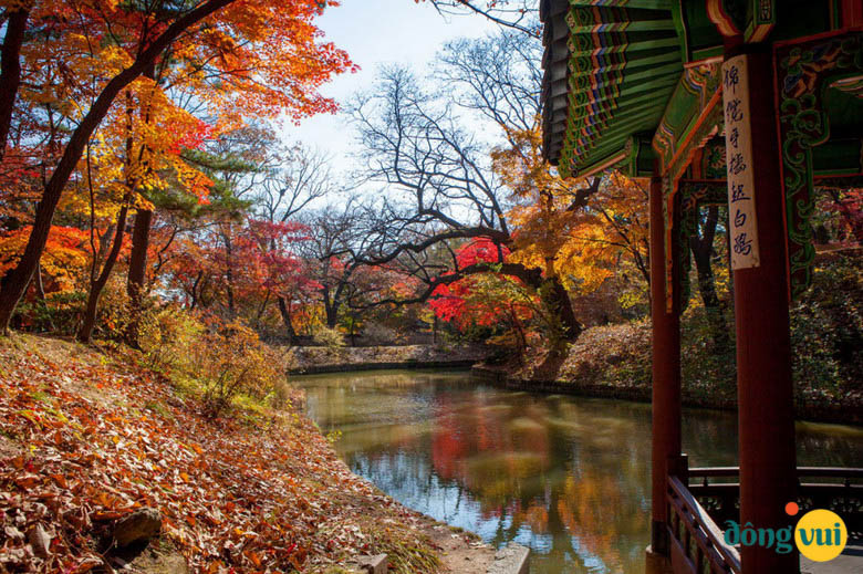 Ngắm mùa thu Hàn Quốc ở cung điện Changdeokgung