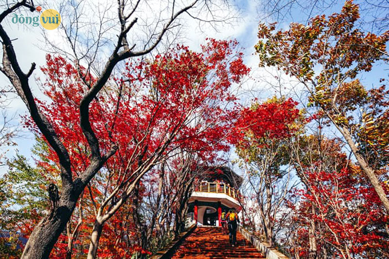 Đài quan sát của núi Naejangsan