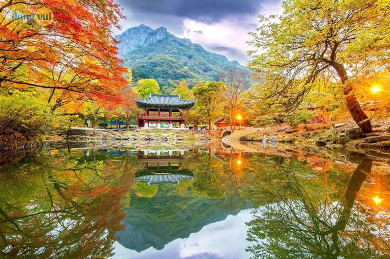 Mùa thu là thời điểm đẹp nhất để đi du lịch Vườn quốc gia Naejangsan